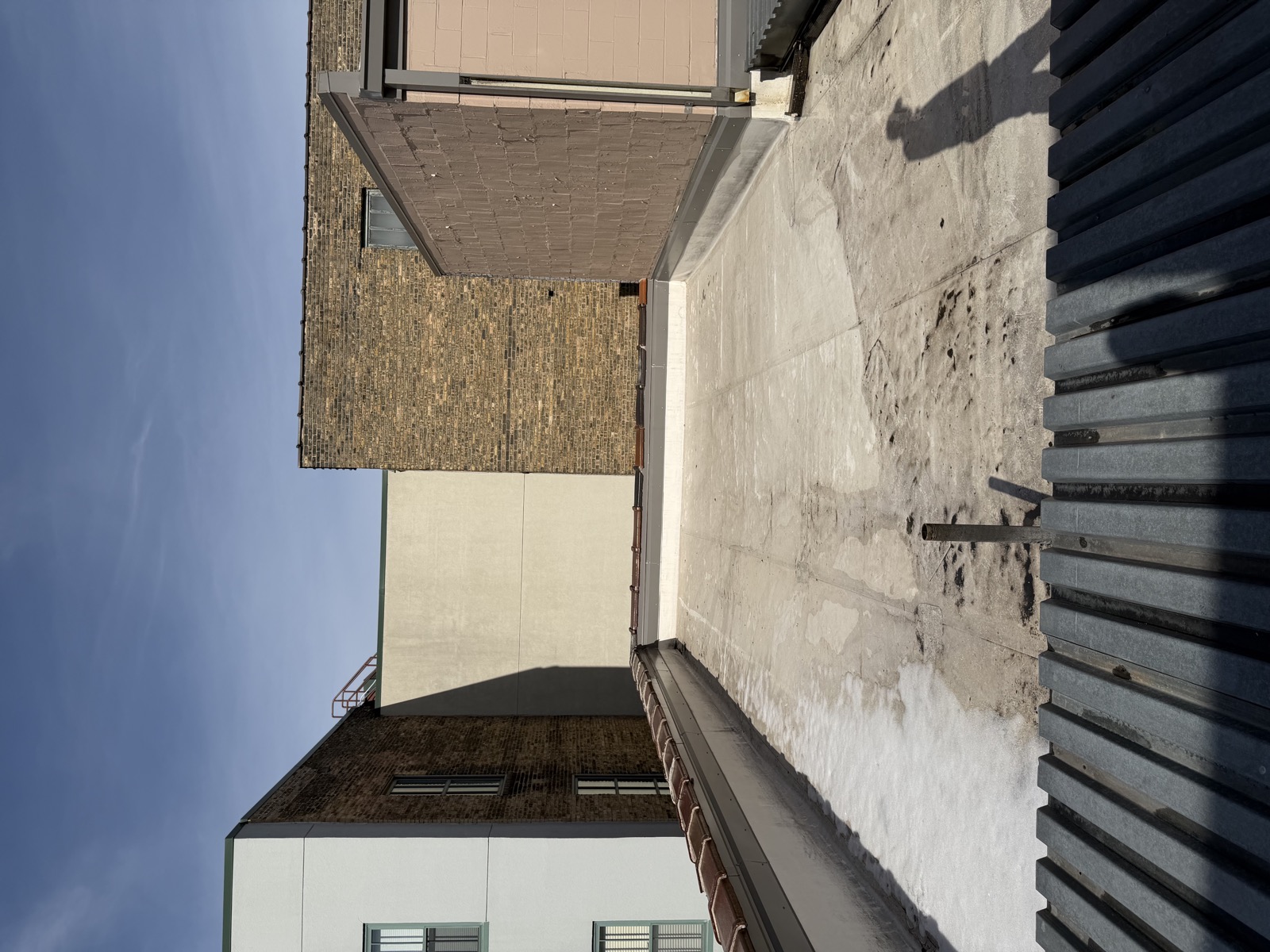Roof - 8